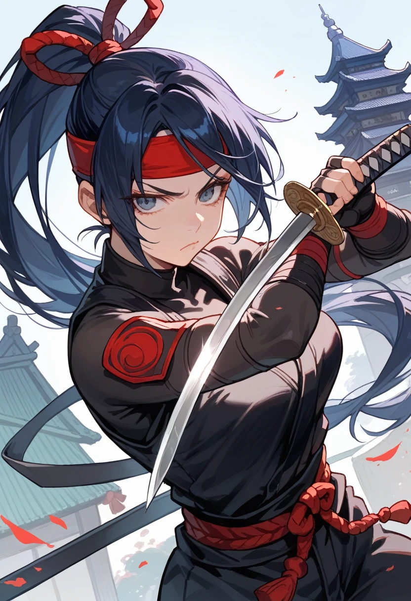 score_9, score_8_up, score_7_up, beauty ninja girl, high ponytail, black ninja outfit, Katana sword, Shuriken, Kunai, serious face, Japanese castle in the background, 