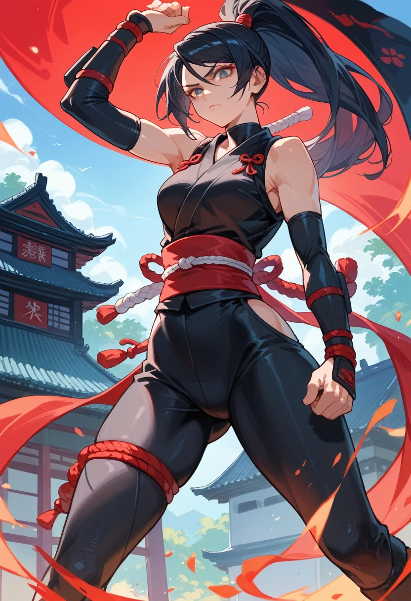 score_9, score_8_up, score_7_up, beauty ninja girl, high ponytail, black ninja outfit, Shuriken, serious face, Japanese castle in the background, 