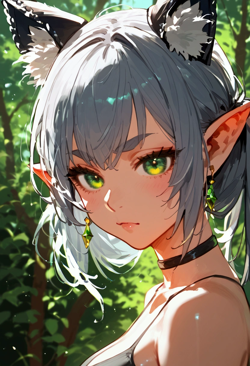  anime illustrations  , score_9, score_8_up, score_7_up, score_6_up, score_5_up, score_4_up,freeze,  1girl,  green eyes , gray hair, twintails,  pointy ears , brows, earrings \\\\\\ \\\\\ , temper big breasts
