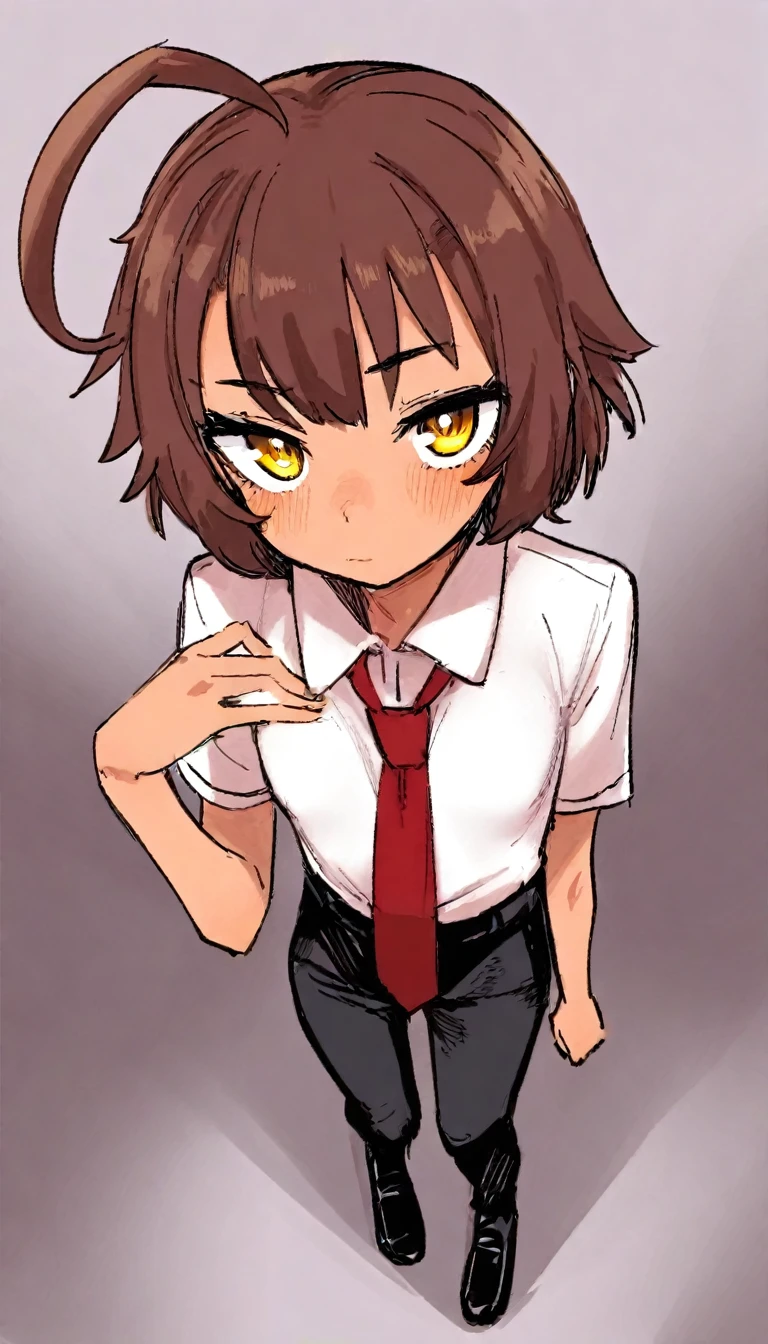 masterpiece, best quality, aomushi-\(mushamusha\), 1girl, small breast, skinny, short hair, brown hair, double-parted bangs, ahoge, yellow eyes, white collared shirt, red tie, black pants, black loafers, standing, full body