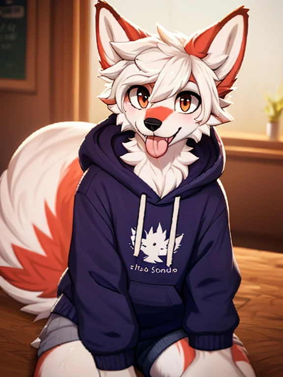 fox boy,Licking cum from dog food bowl,Red collar,Hoodie outfit