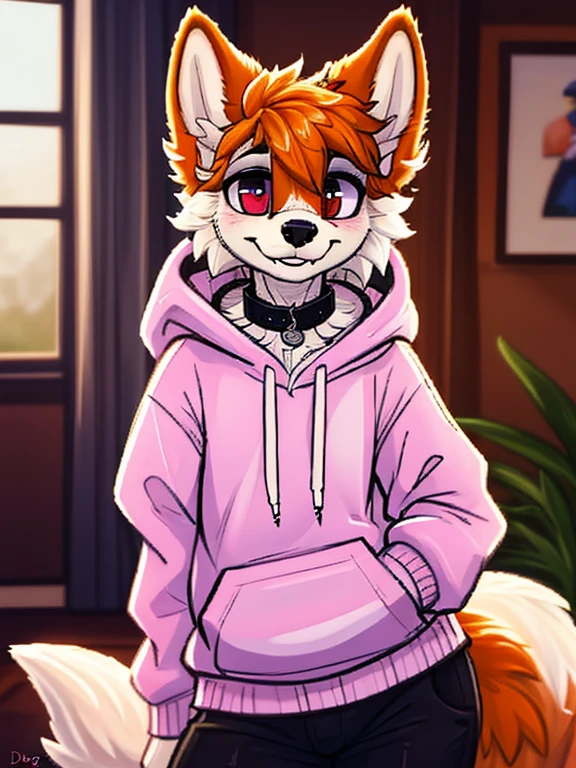 1boy, solo male, teenager, a wolf schoolboy in a hoody, furry, anime, looking at viewer, sexy pose, cunning face, sfw, detailed fur, perfect anatomy, detailed face, realistic light, cozy light, looking at the camera ( by dimwitdog), femboy body, standing in a living room