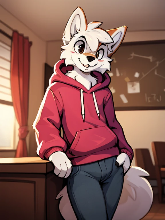 1boy, solo male, teenager, a wolf schoolboy in a hoody and jeans, furry, anime, looking at viewer, sexy pose, cunning face, sfw, detailed fur, perfect anatomy, extremely detailed face, perfect arms, realistic light, cozy light, looking at the camera ( by haps!), femboy body, standing in a living room