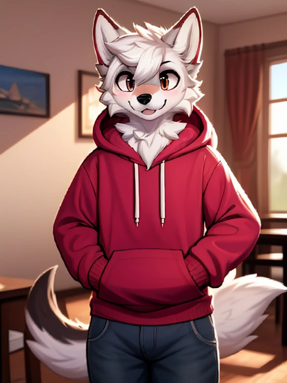 1boy, solo male, a wolf schoolboy in a hoody and jeans, furry, anime, looking at viewer, sexy pose, cunning face, sfw, detailed fur, perfect anatomy, extremely detailed face, perfect arms, realistic light, cozy light, ( by zonkpunch), femboy body, standing in a living room