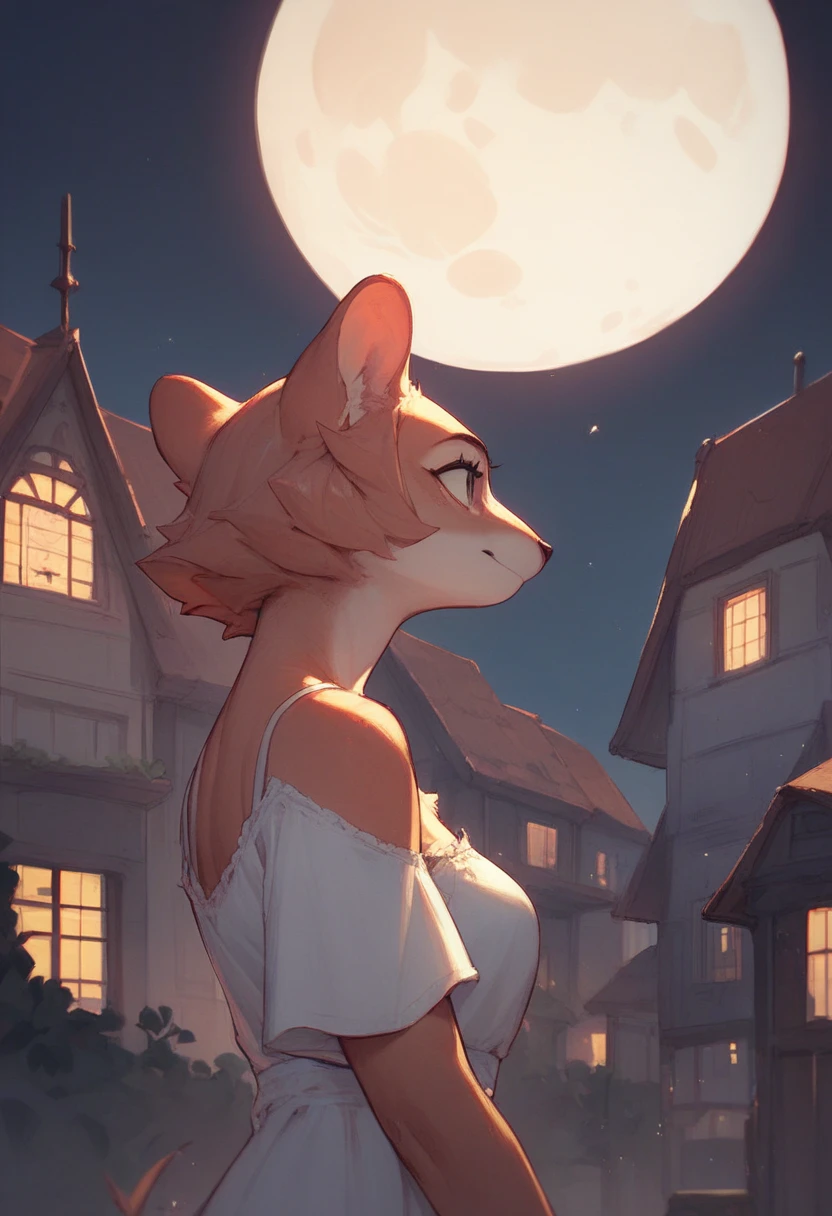  masterpiece , Alone, 1girl, furry, wearing a blouse, with medium long straight hair, and eyelids made up in black,.. pose: stop,  looking around , medium moon,  buildings , houses, low night background lighting.