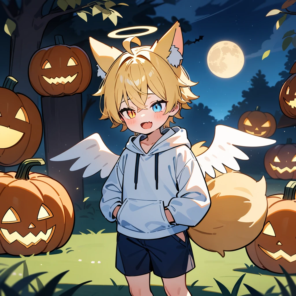 （masterpiece：1.2，high quality），8k，High resolution，A seven-year-old boy，cute boy， blonde hair，short hair，crossed bangs， Heterochromia，slit pupils， ahoge，cat ears，halo on the head，（halo），laughing，skin fang，There are white angel wings behind，Wearing a white hoodie，Dark blue shorts，Standing outdoors，Flowering tree branches.，primary school student，thigh，fox tail，alone，((Put your hands in your pockets))，night，Full Moon， with pumpkin lanterns on the ground，There are black bats in the sky ，grassland