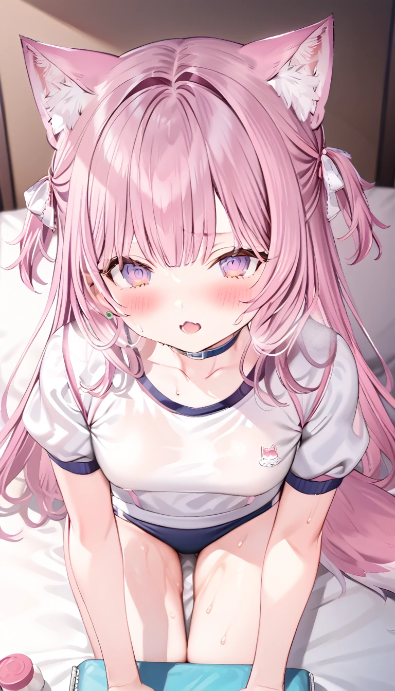 koyo_lab,wolf tail,animal ear fluff,purple eyes,cat mouth, 1girl, on bed,wearing navy buruma, short sleeve (white gym uniform with colored hem:1.3), 大きな胸,mesugaki,
offcial art,masterpiece,The 8k quality,Super Detail,Fine detail skin,Sweat,Highly detailed beautiful hair,,Highly detailed beautiful face,Beautiful Shadows,sweat,mesugaki,