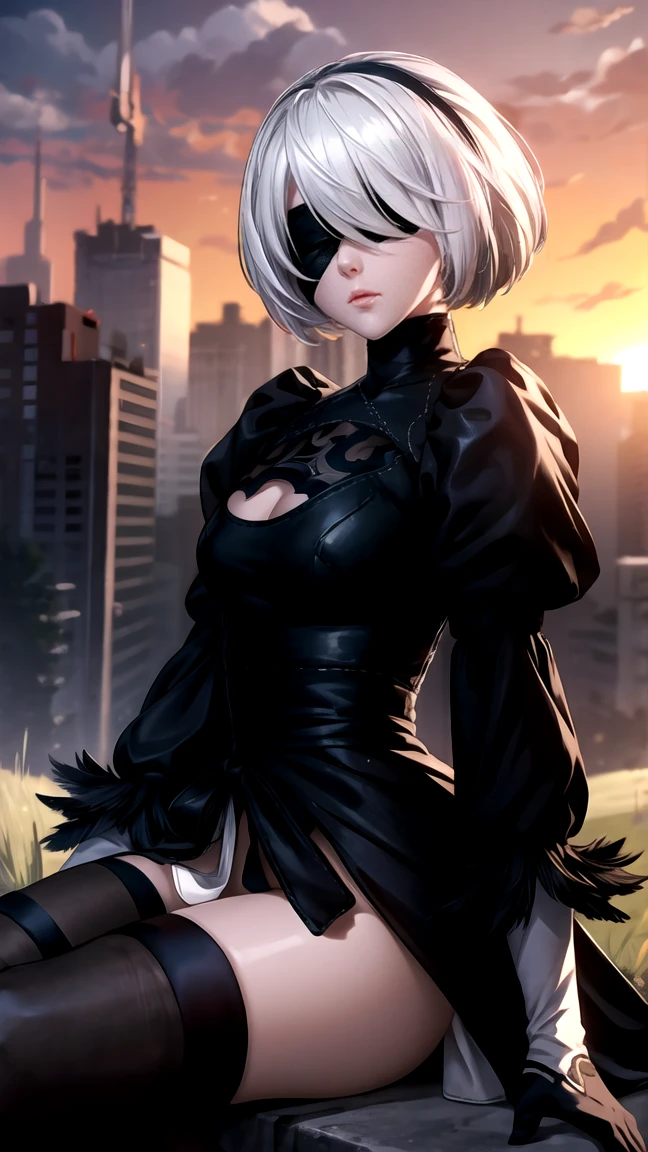  1girl,white hair, short hair,хм2б,  black blindfold,  covered eyes , birthmark , neckline of clothing,  long sleeves , puffy sleeves, juliet sleeves ,  feather trim , black stockings, black gloves,  black dress, (black skirt),sit,sitting on grass,hands on knees,Sunset,from the side,masterpiece,extremely detailed CG unity 8k wallpaper,  Best quality ,32K, Focus sharp ,