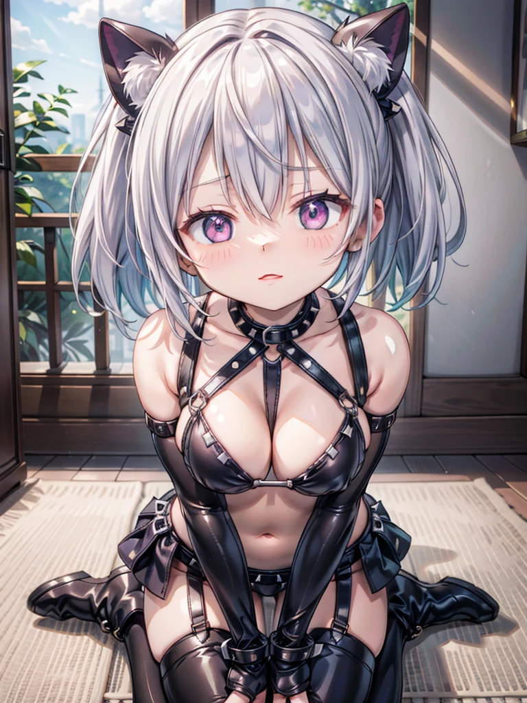 NSFW、Highest quality、(Bunny girl)、tights、Glossy Bunny Suit、Sit on the sofa、((Spread your legs wide))、No background、Silver short hair、Beautiful Eyes、Beautiful Face、Delicate eyes、Expressions of ecstasy、((Both have))、(Breast milk)、((Ejaculating penis))
