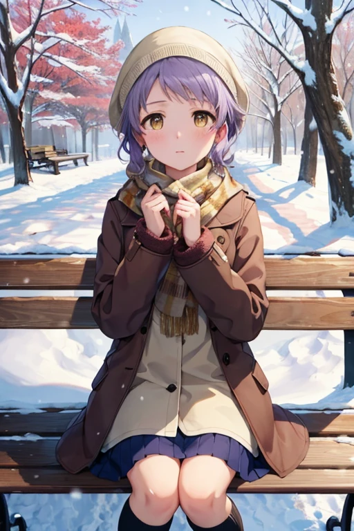 (masterpiece),(Best Quality), ,  brown coat,  scarf, kneehighs, Blank Eyes, Expressionless face, Park, Waiting, bench, snow, snowing, tree, nature,  Purple Hair,  short hair, Yellow Eyes