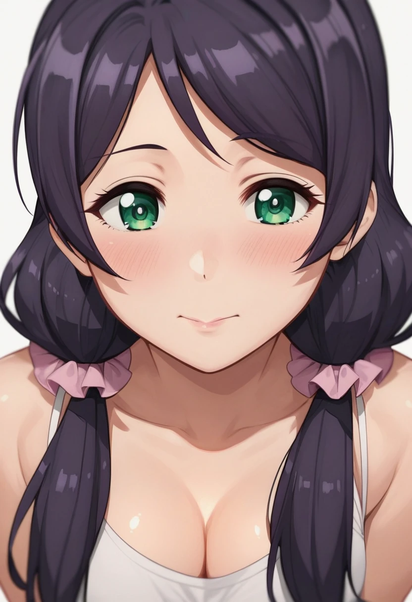 nozomi toujou ，nozomi tojo, (green eyes:1.3), dark purple hair, twintails, low twintails, scrunchie, long hair, shiny skin, shiny，NSFW