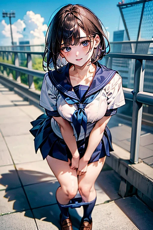 (((perfect anatomy, anatomically correct, super detailed skin))), ((panties pulled down)), 1 girl, japanese, high school girl, shiny skin, watching the viewer, 
beautiful hair, beautiful face, beautiful detailed eyes, (short hair:1.1, bob cut:1.2), dark blonde hair:1, blue eyes, face, mole under eye, 
beautiful clavicle, beautiful body, beautiful breasts, large breasts:0.5, beautiful thighs, beautiful legs, 
((short sleeves, all dark blue cute sailor suit, dark blue pleated skirt, dark blue sailor collar, sailor scarf, socks, brown loafers)), seductive thighs, (red slave collar), 
((, ashamed, , , )), standing, 
(beautiful scenery), summer, school rooftop, building, chain-link fence, 
8k, top quality, masterpiece​:1.2, extremely detailed), (photorealistic), beautiful illustration, natural lighting, ,