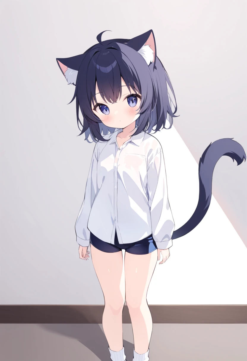 A cute and petite cat girl ,  dressed in a shirt and short shorts , with hairy tail  