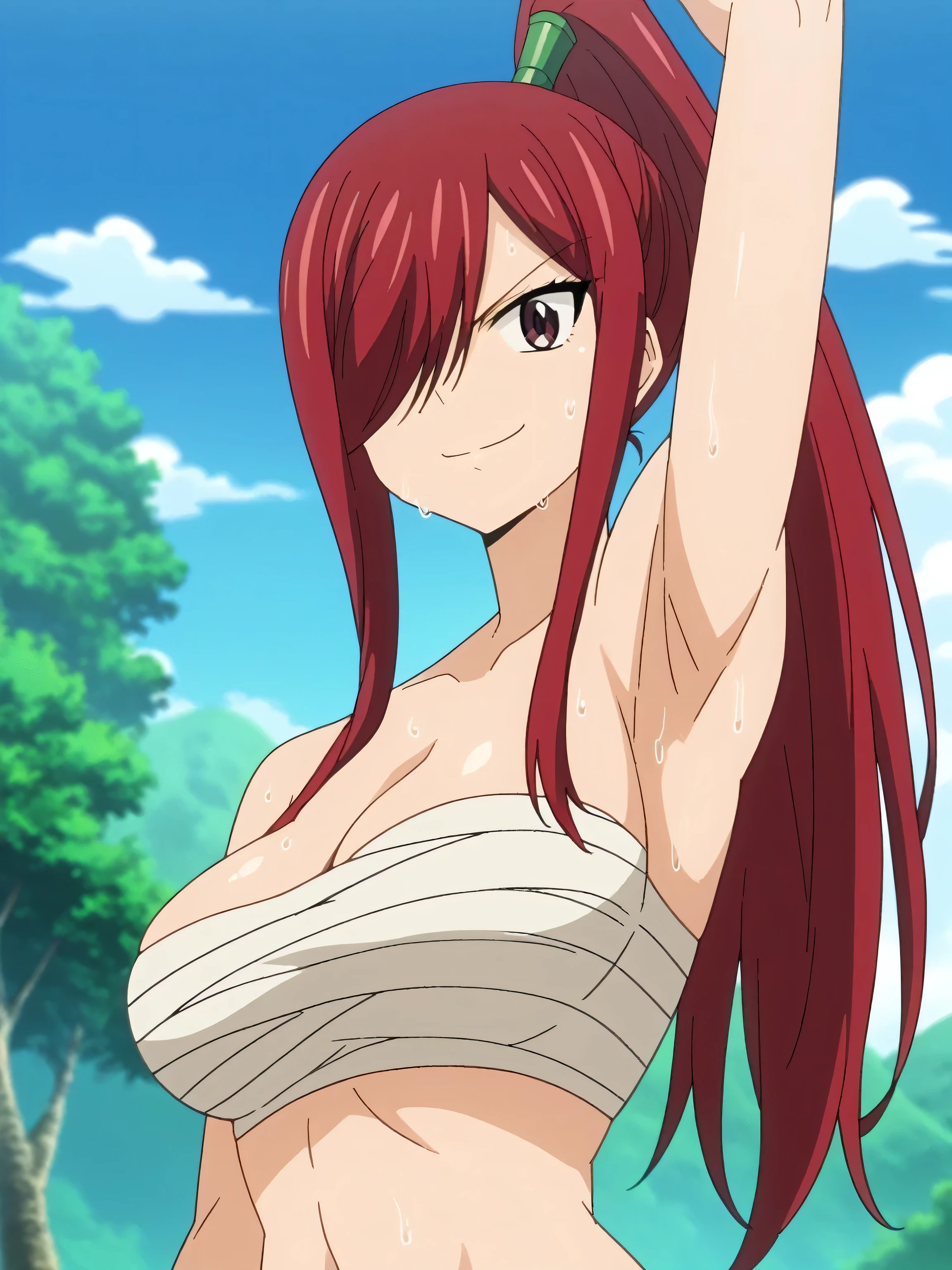 score_9, score_8_up, score_7_up, source_anime, anime screencap, 1girl, solo, erza scarlet, long hair, red hair, hair between eyes, brown eyes, large breasts, navel, cleavage, bare shoulders, ponytail, japanese clothes, hair over one eye, high ponytail, sarashi, arm up, raised arm, armpit, armpit focus, from side, from below, (sweaty:0.9), (looking at viewer:1.1), head towards viewer, smile, smug, closed mouth, outdoors, river, badhandv4