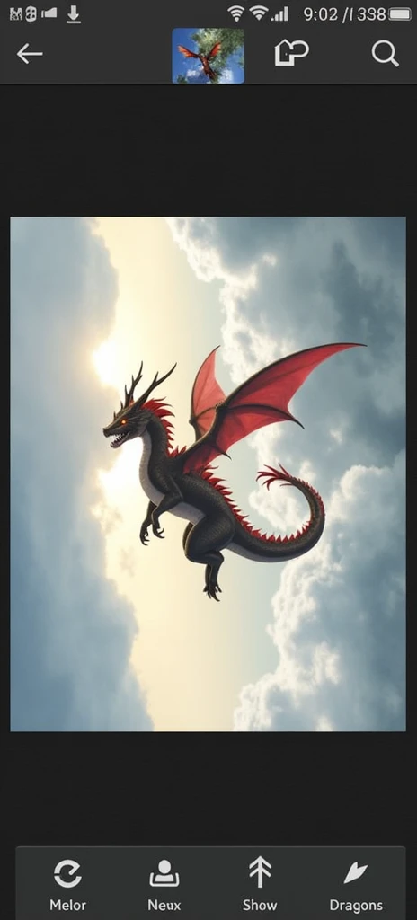 Black dragon with black wings ,He's a giant, he is flying in front of the sunset, he has a light look 