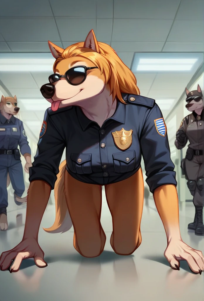  Accurate, Long Hair, Breasts, Wolf Ears, Tongue, Smile, Sunglasses, dark armoured tactical police anthro uniform, dark leather collar with a badge, sniffling luggage, airport terminal, walking on all fours,Smile, Smile, 