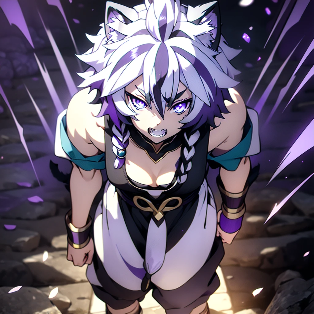 ((masterpiece)), 1boy, standing, white tiger ears, white tiger tail, ((purple hair)), two-tone hair, braid, dark purple shirt, black pants, bracelets, in rage, ((no pupils)), obsession, ((dark aura around)), baring teeth.