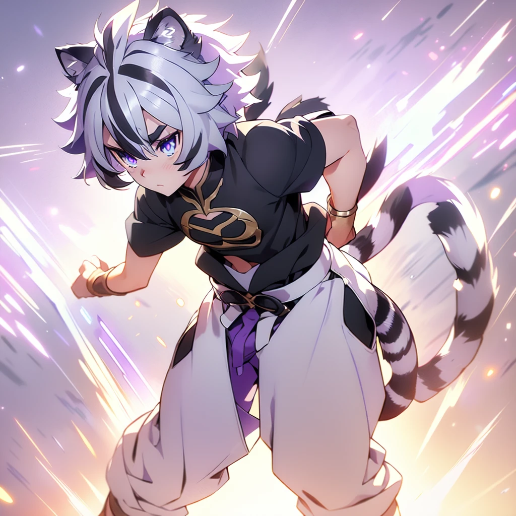 1boy, standing, blush, trying play cool, ((dark purple shirt)), ((black pants)), white tiger ears, white tiger tail, no pupils, dark purple hair, two-tone hair, in rage, Cestus on the hands, ready to fight, purple mini cape, ((single tail)).