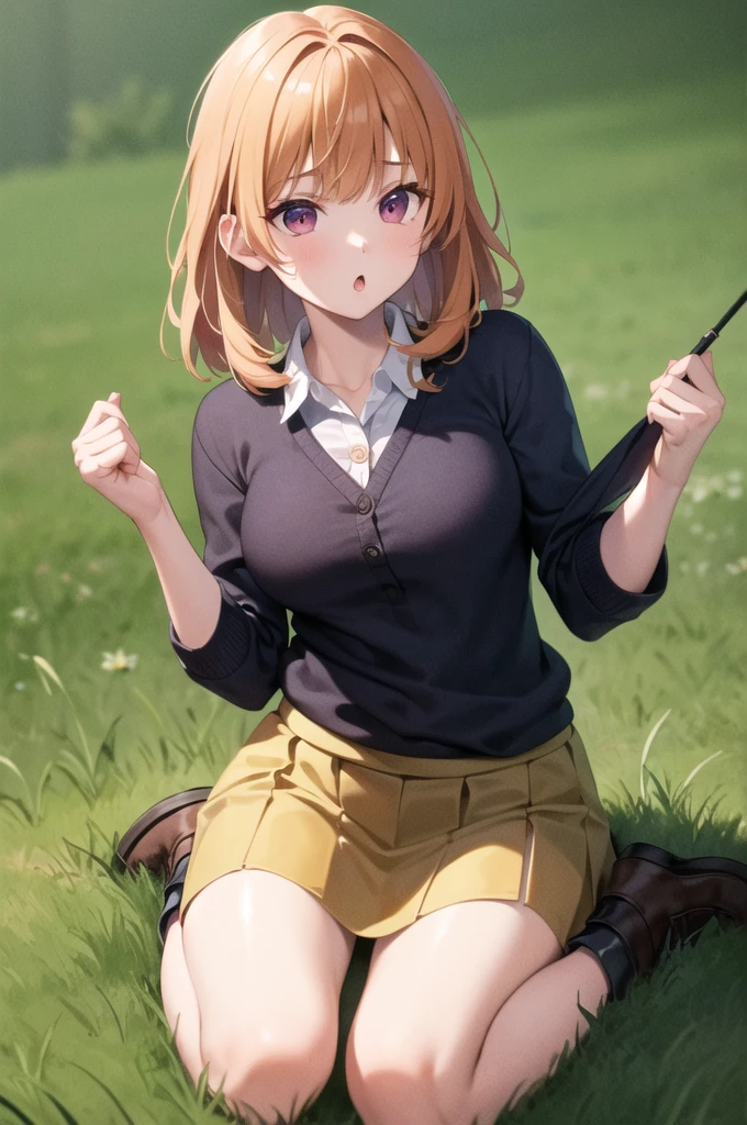 masterpiece, best quality, highres, aachinatsu, medium hair, breasts, sweater, cardigan, skirt, :o, grass, wariza,