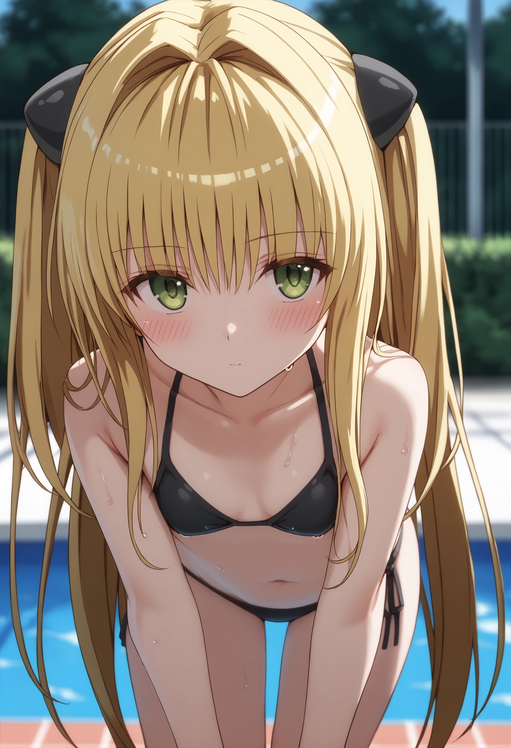 score_9,score_8_up,score_7_up,solo,outdoors,upper body,(portrait:1.5),looking at viewer,facing viewer,blush,Konjiki no Yami,very long hair,blonde hair,two side up,small breasts,bikini, black bikini, wet, pool, blush,arms up, pool,(leaning forward:1.3), (hands on knees:1.3)