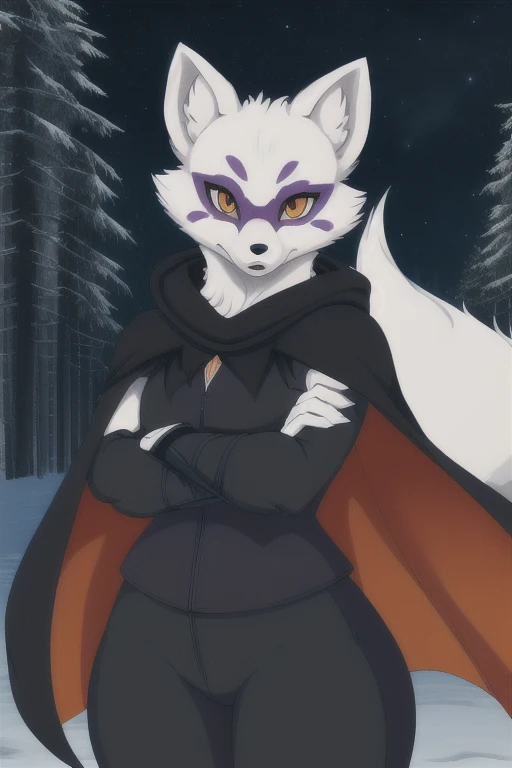 Alopex, arctic fox, furry, purple marks, tmnt, orange eyes, girl1, solo, black cape, cloak, ninja pants, best quality, masterpiece, forest, city. Night, standing, Looking at viewer, holding pair of kama, serious look, 