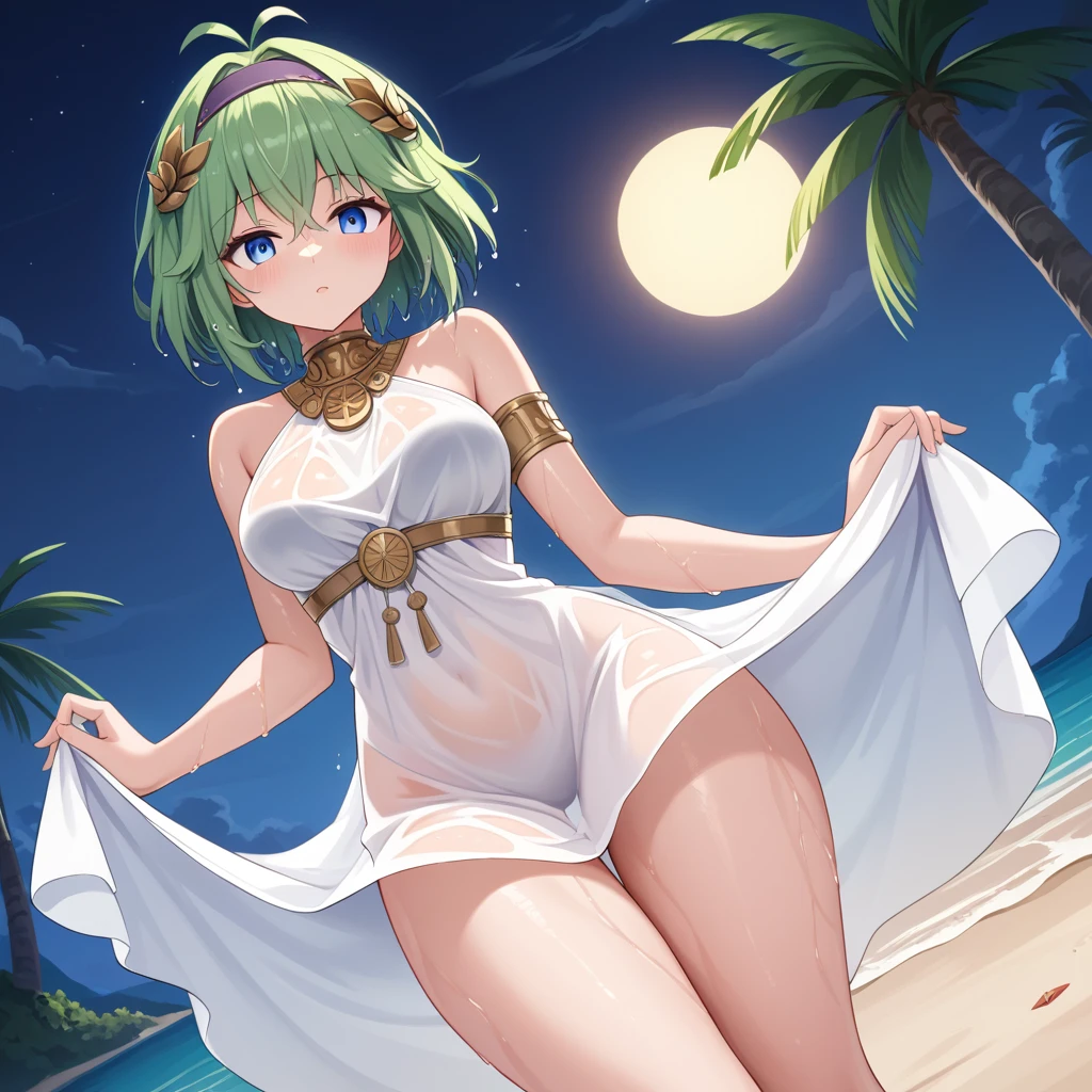 score_9, score_8_up

(masterpiece), best quality, expressive eyes, perfect face, perfect thighs, perfect anatomy, perfect breasts, perfect eyes, medium breasts, perfect thighs, perfect hips,

ninoss, blue eyes, green hair, short hair, antenna hair, purple hairband, hair ornament, greek clotches, greek goddess, white tunic, see-through, beach, night, night, sky, blue sky, wet clotches, behind sunset