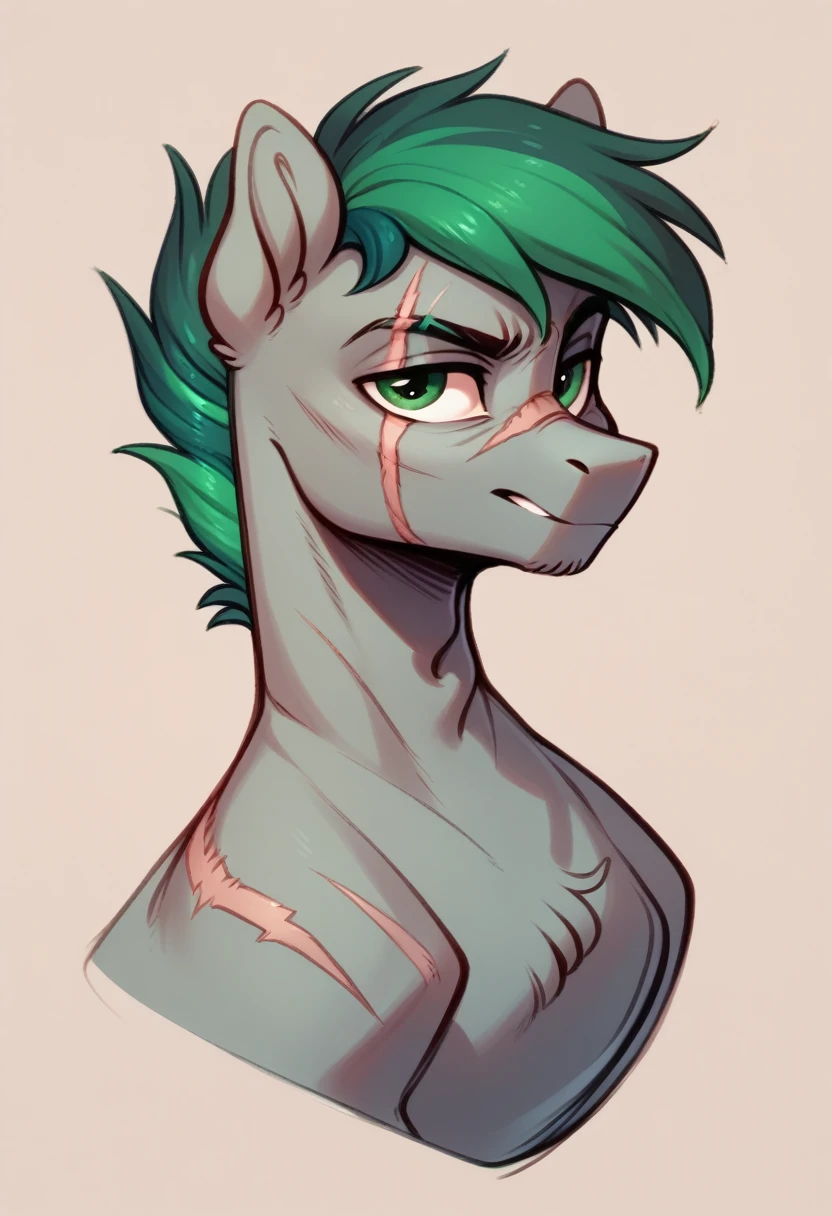 (mlp) ,oc Male pony ,Gray body ,scar on face , simple background,character sheet ,