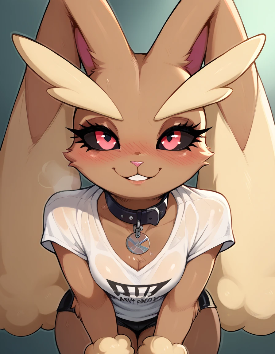 score_9, score_8_up, score_7_up, Lopunny - Pokemon. 1girl, anthro, makeup, thighs, hips, perfect eyes, shiny skin, oiled skin, masterpiece, 4k, high quality, (best quality:1.1), flat featureless chest, predatory look, collar, in heat, aroused, freckles, blush, sweat,afrobull, short, steam emanating from the body, slutty, seductive, smiling, pov, pressing her body against viewer, looking up at viewer, hands on pov shirt, pov looking down, standing, absurdres, freckles, score_9, score_8_up, score_7_up