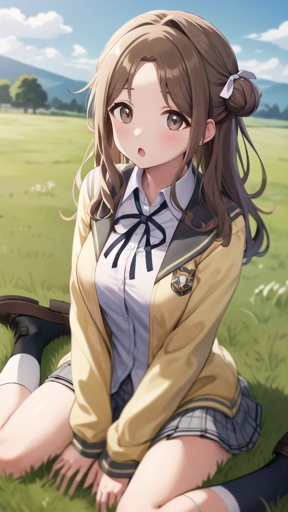 masterpiece, best quality, highres, hmhi, long hair, single side bun, hair ribbon, neck ribbon, school uniform, white shirt, yellow cardigan, open clothes, long sleeves, plaid skirt, grey skirt, pleated skirt, socks, loafers, :o, wariza, grass, field,