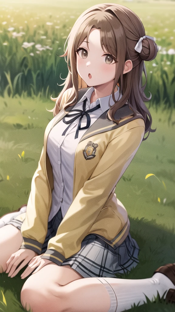 masterpiece, best quality, highres, hmhi, long hair, single side bun, hair ribbon, neck ribbon, school uniform, white shirt, yellow cardigan, open clothes, long sleeves, plaid skirt, grey skirt, pleated skirt, socks, loafers, :o, wariza, grass, field,