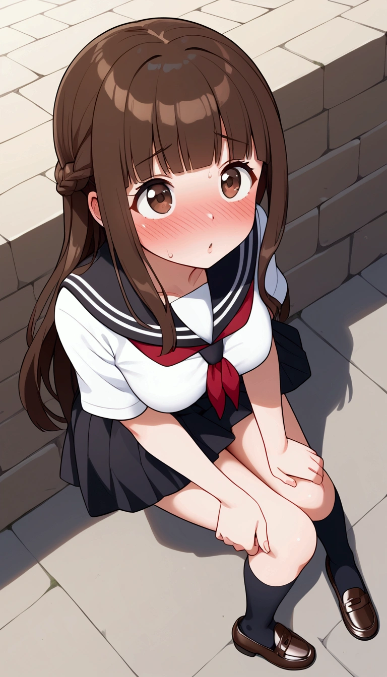 {Best Quality], [Very beautiful], [Ultra fine], [Best illustration],sauce_anime,stand,Brown Hair,hime cut,Long Hair,Braids,Excited face,Cutesy,High school girl, BLACK SAILOR SUIT ,skirt,Beautiful breasts, black high socks , black loafers , slender, make your face blush,Woman looking up,Embarrassed,In the village,Outside the home, poses,From an angle, they point their lips over here , they try to kiss me,I want to chew ,Kissing the screen ,Delusional