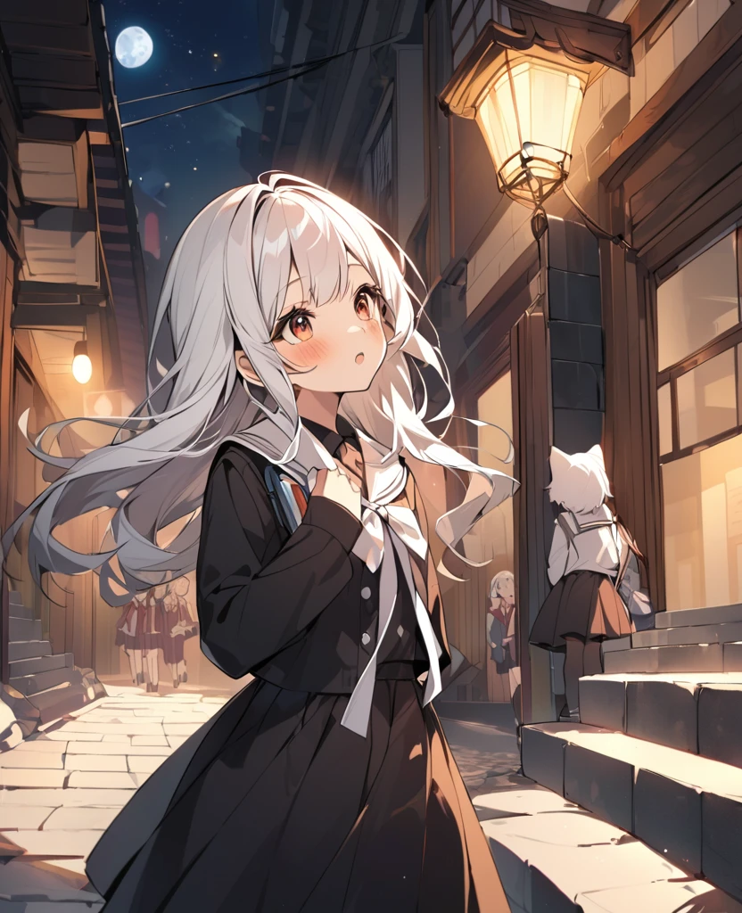 There is a Mike cat on the stone steps。 female students on their way home from school are looking up。The popular beautiful cat 。 Takane no one is fond of 。