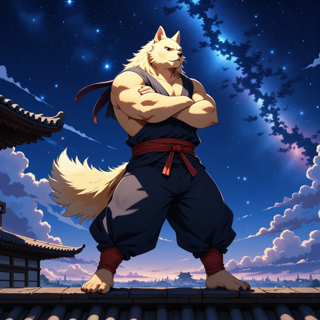 character focus, full body, looking away, dynamic angle, ninja, a muscular middle-aged akita inu man, ninja costume clothes, ninja suits, standing, crossing one's arms on a loof, dynamic pose, BREAK full body in Michelangelo Buonarroti style, housamo style, digital illustration anime, detailed painting landscape, starry sky, kyoto, roof, outdoor, full color, HDR, BREAK complete anatomy, perfect proportions, beautiful thigh gap, fluffy body, intricate fur details, beautiful fur texture, BREAK a detailed akita inu 1tail, detailed toe, 5toes, 5toes nails, beautiful foot, detailed hands, 5fingers, 5fingers nails, BREAK aesthetic anime face, insanity detailed face, male face, big face, square jawline, aesthetic anime eyes, detailed brown eyes, detailed brown cornea, detailed dark brown irises, detailed pupils, male eyes, big eyes, male eyebrows, innocent look, beautiful beard, BREAK masterpiece, official art, best quality, very aesthetic, absurdres, super fine illustration, great quality, BREAK noise reduction, very highres, large filesize, high quality, 32K, 8k wallpaper, dynamic lighting, BREAK insanity detailed, ultra detailed, intricate details, extremely detailed, detailed texture, an extremely delicate and beautiful, BREAK e621 illustration, osukemo, kemohomo, anthropomorphic, furry, cartoon, harmonious body, pastoral face, virtuous eyes, epic atmosphere