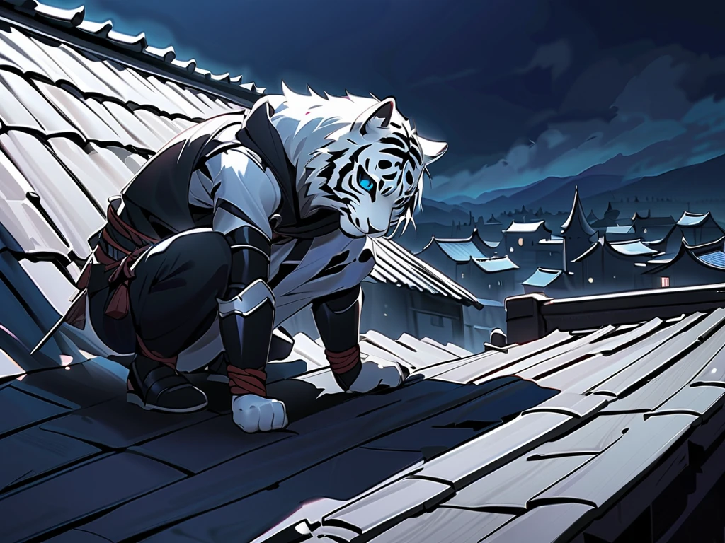  Kogenta, furry white tiger,**********,  wearing a black ninja costume ,Ninja Armor , Wearing a hood,,Masked, Hand Rope , Dark Medieval Village Night in the Dark(landscape、On the roof:1.3),squatting on the roof,bend over, ,  crouching on one knee (( Shadow inside )), .Half-side body full view,Single-arm railing wall ,