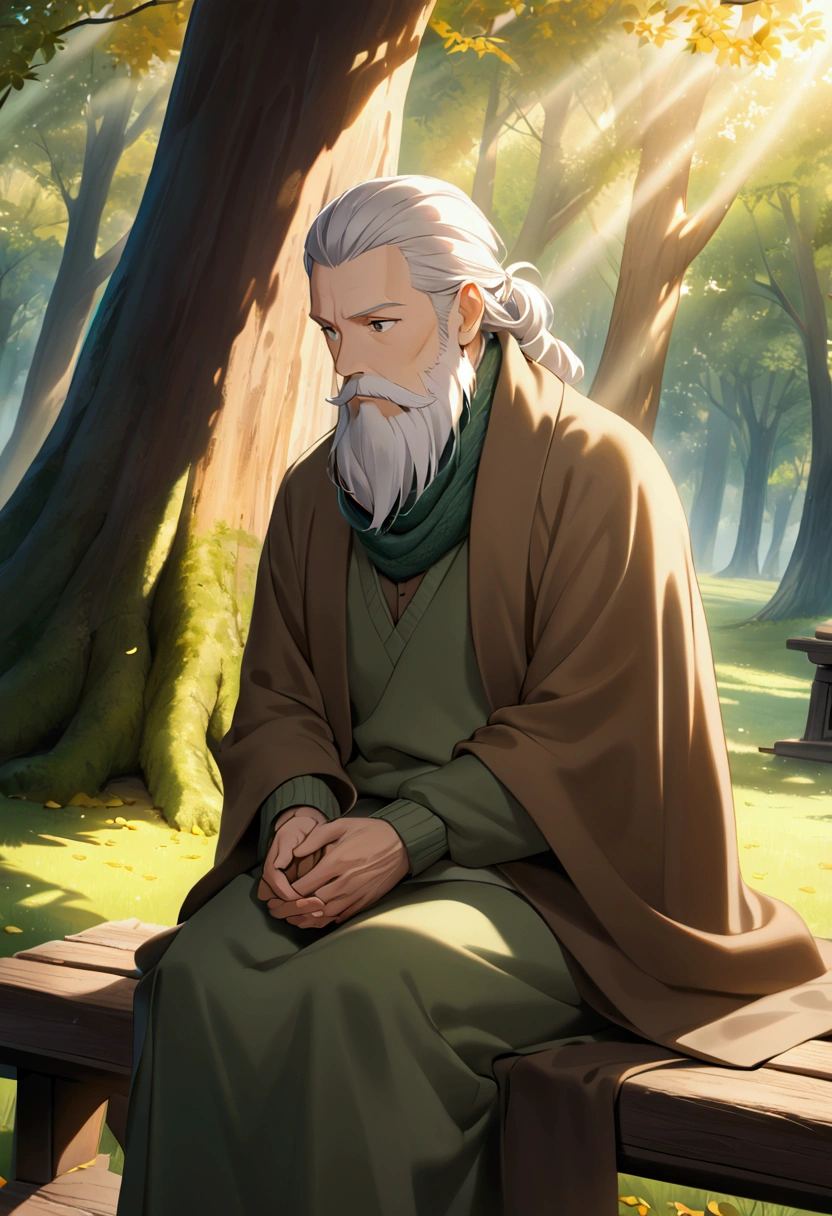 An elderly man solo with a wise appearance sits on a rustic wooden bench in a serene autumn park, surrounded by a golden, peaceful landscape. His silver hair is slightly wavy and fuller, and he sports a well-kept, full beard, adding to his aura of accumulated wisdom. His deep, thoughtful eyes gaze into the distance with a calm, contemplative expression, as if holding a lifetime of stories. Dressed in a thick moss-green sweater under a long, worn coat, he has a warm brown scarf wrapped around his neck, lending him an air of comfort and quiet sophistication. His hands, marked by prominent veins and long fingers, rest calmly in his lap, symbolizing serenity and experience. Tall, ancient trees surround him, shedding their leaves gently, creating an almost magical atmosphere. The late afternoon sunlight filters softly through the tree canopy, illuminating him in a gentle glow, as though time has paused out of respect for his presence