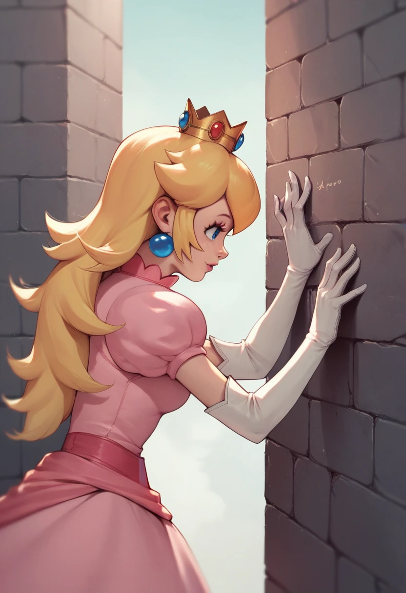 Princess Peach holding you by the neck and putting yourself against the wall, So that you pay him.