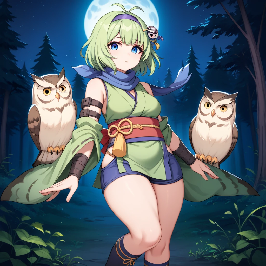 score_9, score_8_up

(masterpiece), best quality, expressive eyes, perfect face, perfect thighs, perfect anatomy, perfect breasts, perfect eyes, medium breasts, perfect thighs, perfect hips,

ninoss, blue eyes, green hair, short hair, antenna hair, purple hairband, hair ornament, forest background, night sky, moon, light wind, 


ninja clotches, shinobi clothes, shinobi kozoku, short skirt kimono, green kimono, sleveless top, mini skirt, Headwear, blue scarf, Waist Cummerbund, Belt, Shorts, Socks, Legwear, Arm belt, Bracers, Bandage, Belt, shonobi dagger, owl, chubby owl, white owl, fluffy owl