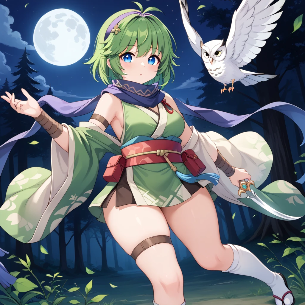 score_9, score_8_up

(masterpiece), best quality, expressive eyes, perfect face, perfect thighs, perfect anatomy, perfect breasts, perfect eyes, medium breasts, perfect thighs, perfect hips,

ninoss, blue eyes, green hair, short hair, antenna hair, purple hairband, hair ornament, forest background, night sky, moon, light wind, 


ninja clotches, shinobi clothes, shinobi kozoku, short skirt kimono, green kimono, sleveless top, mini skirt, Headwear, blue scarf, Waist Cummerbund, Belt, Shorts, Socks, Legwear, Arm belt, Bracers, Bandage, Belt, shonobi dagger, owl, chubby owl, white owl, fluffy owl, white feathered owl,