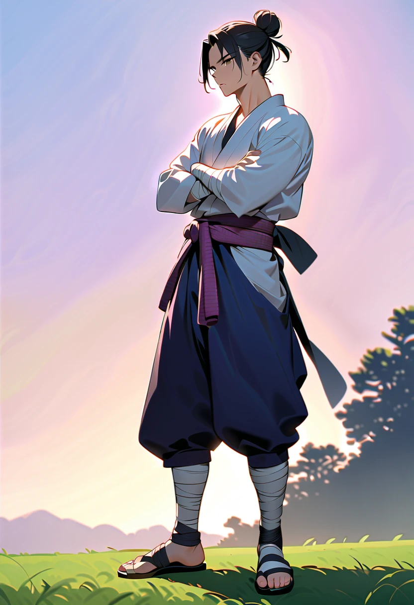 masterpiece, best quality, perfect lighting, high resolution, 1 guy, samurai, muscular, slim build, black hair, (manbun samurai hairstyle), spiky dual bangs, black eyes, calm demeanor, handsome, (white baggy long-sleeve kimono top), long faded-blue cloth wrapped around waist, (thick light-purple rope wrapped around waist), mildly baggy navy-blue pants, (black bandages wrapped over ankles), black sandals, sheathed katana on waist, arms crossed, full body view, three-quarter view, pasture background, (detailed background)