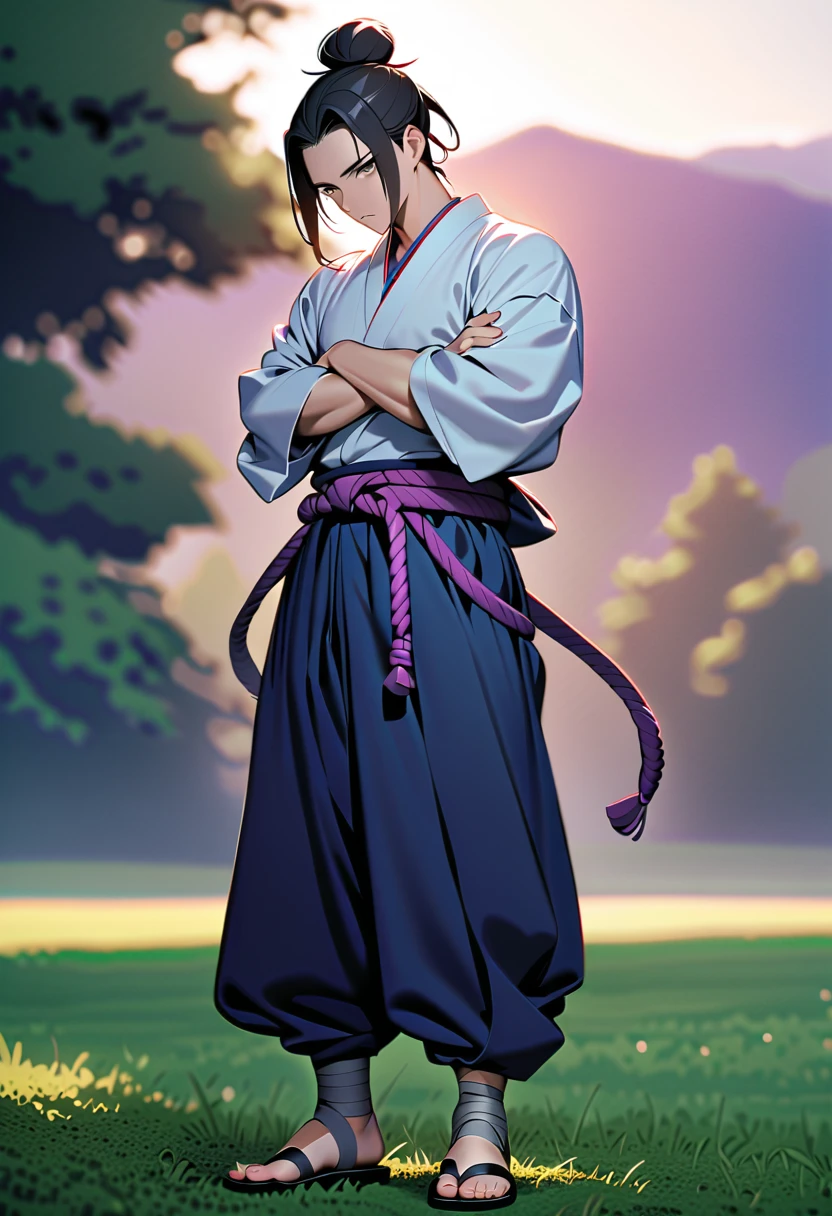 masterpiece, best quality, perfect lighting, high resolution, 1 guy, samurai, muscular, slim build, black hair, (manbun samurai hairstyle), spiky dual bangs, black eyes, calm demeanor, handsome, (white baggy long-sleeve kimono top), long faded-blue cloth wrapped around waist, (thick light-purple rope wrapped around waist), mildly baggy navy-blue pants, (black bandages wrapped over ankles), black sandals, sheathed katana on waist, arms crossed, full body view, three-quarter view, pasture background, (detailed background)