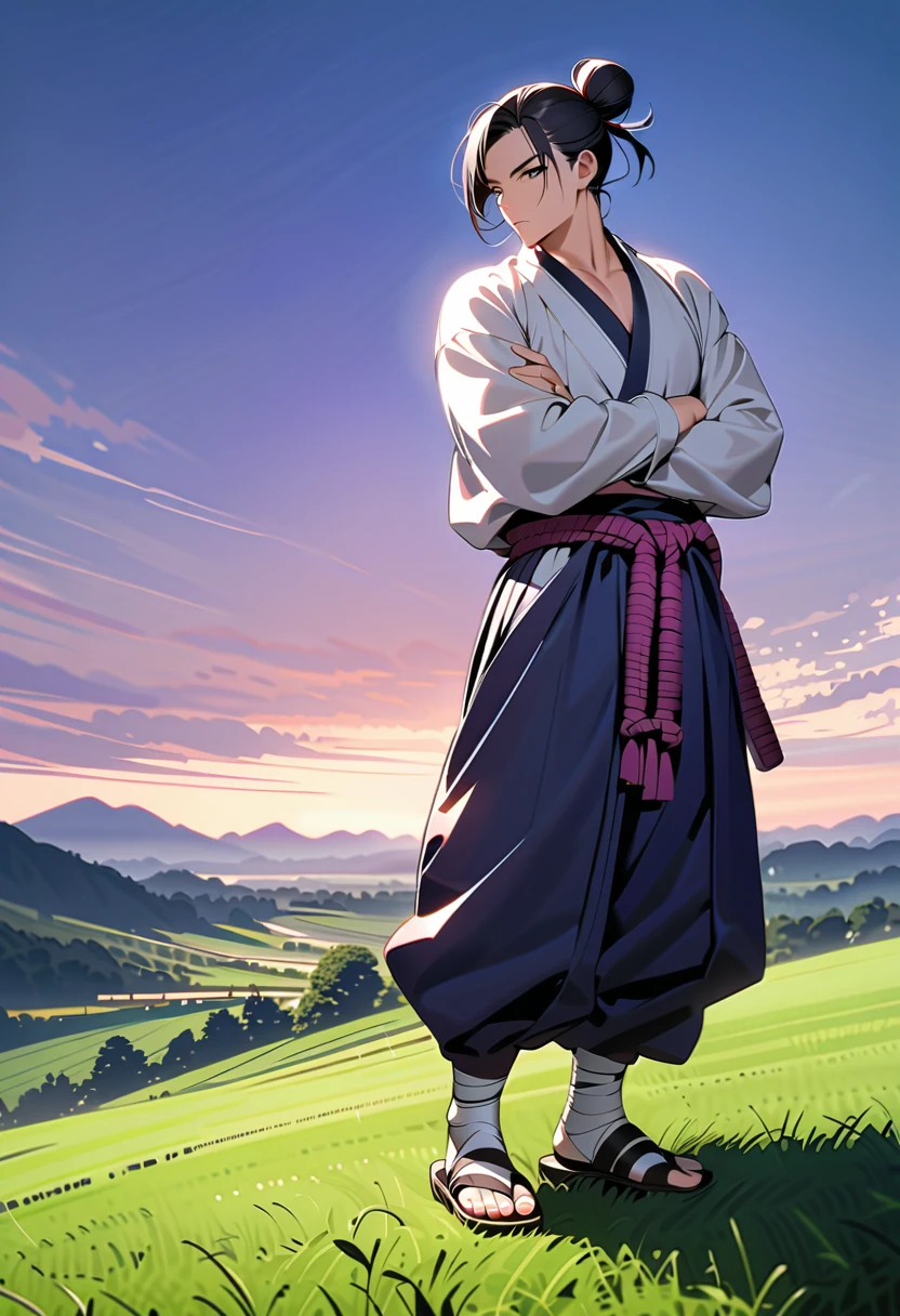 masterpiece, best quality, perfect lighting, high resolution, 1 guy, samurai, muscular, slim build, black hair, (manbun samurai hairstyle), spiky dual bangs, black eyes, calm demeanor, handsome, (masculine face), (white baggy long-sleeve kimono top), long faded-blue cloth wrapped around waist, (thick light-purple rope wrapped around waist), mildly baggy navy-blue pants, (black bandages wrapped over ankles), black sandals, sheathed katana on waist, arms crossed, full body view, three-quarter view, pasture background, (detailed background)