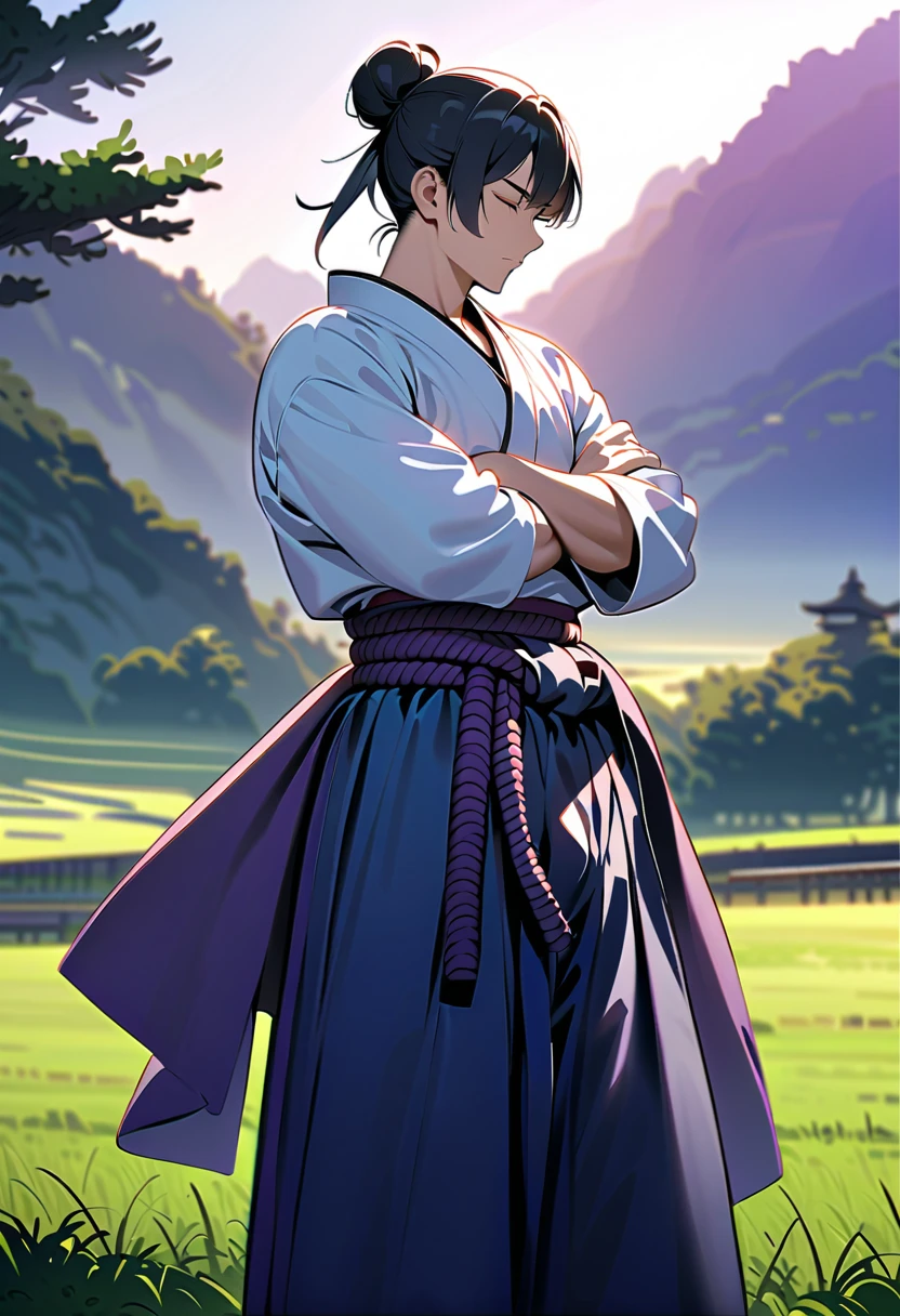 masterpiece, best quality, perfect lighting, high resolution, 1 guy, samurai, muscular, tall stature, slim build, black hair, (manbun samurai hairstyle), spiky dual bangs, shut eyes, calm demeanor, handsome, (masculine face), (white baggy long-sleeve kimono top), long faded-blue cloth wrapped around waist, (thick light-purple rope wrapped around waist), mildly baggy navy-blue pants, (black bandages wrapped over ankles), black sandals, sheathed katana on waist, arms crossed, full body view, three-quarter view, pasture background, (detailed background)