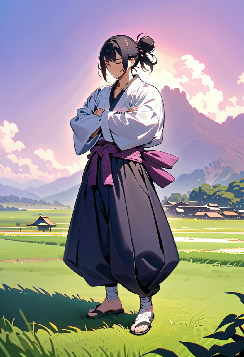 masterpiece, best quality, perfect lighting, high resolution, 1 guy, samurai, muscular, (tall stature), slim build, black hair, (manbun samurai hairstyle), spiky dual bangs, shut eyes, calm demeanor, handsome, (masculine face), (white baggy long-sleeve kimono top), long faded-blue cloth wrapped around waist, (thick light-purple rope wrapped around waist), mildly baggy navy-blue pants, (black bandages wrapped over ankles), black sandals, sheathed katana on waist, arms crossed, full body view, three-quarter view, pasture background, (detailed background)