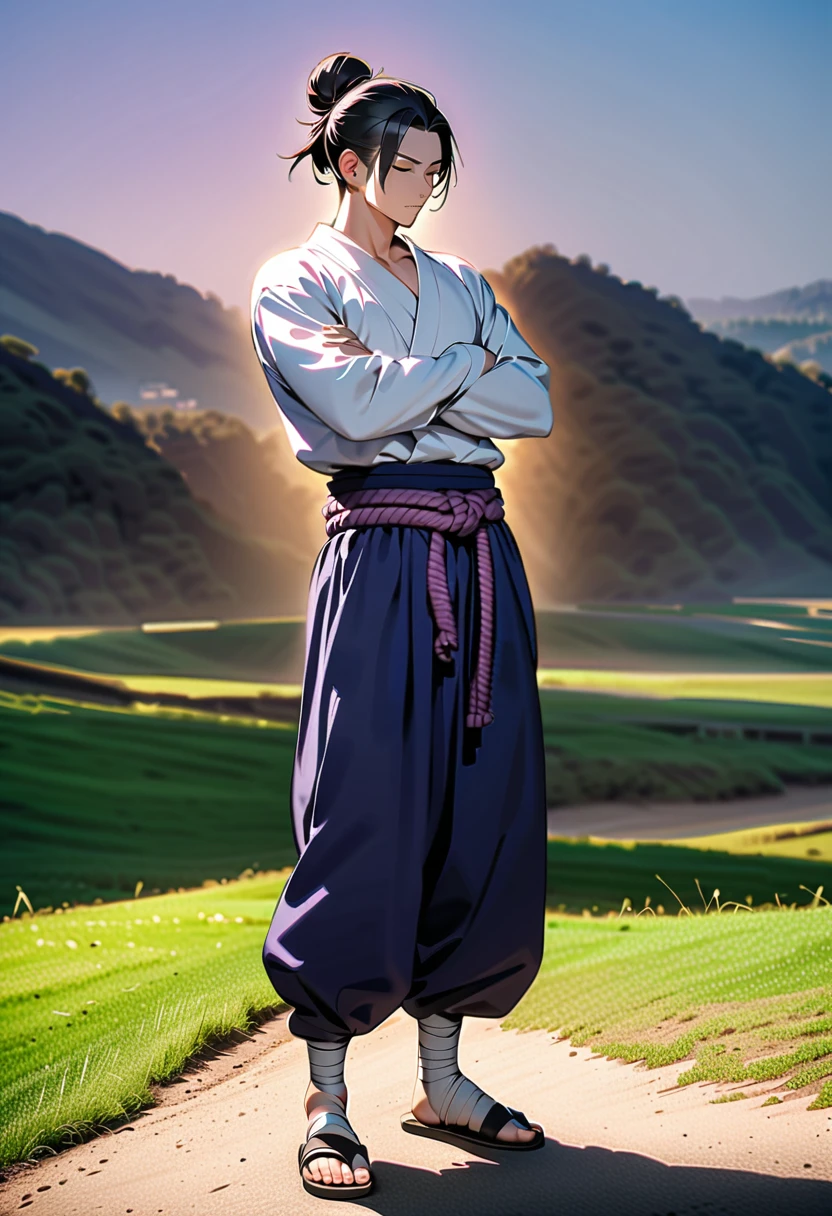 masterpiece, best quality, perfect lighting, high resolution, 1 guy, samurai, muscular, (tall stature), slim build, black hair, (manbun samurai hairstyle), spiky dual bangs, shut eyes, calm demeanor, handsome, (masculine face), (white baggy long-sleeve kimono top), long faded-blue cloth wrapped around waist, (thick light-purple rope wrapped around waist), mildly baggy navy-blue pants, (black bandages wrapped over ankles), black sandals, sheathed katana on waist, arms crossed, full body view, three-quarter view, pasture background, (detailed background)