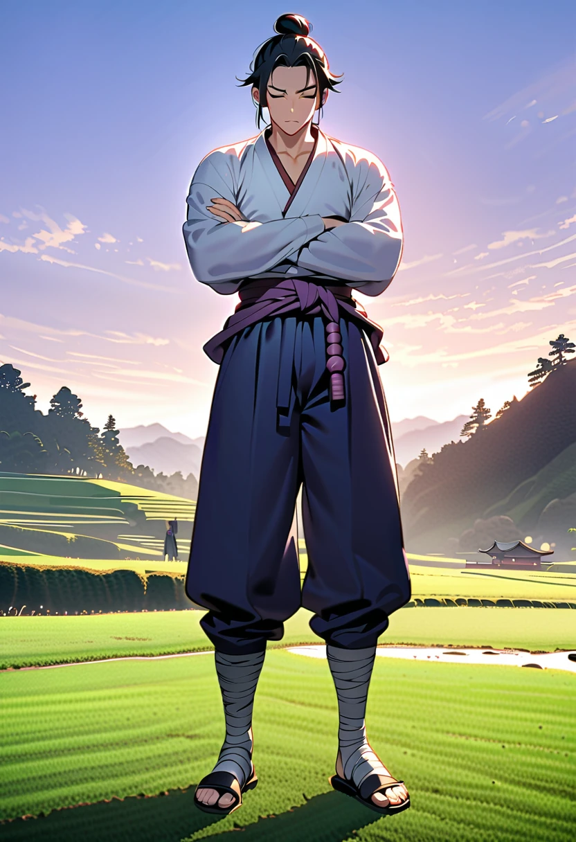 masterpiece, best quality, perfect lighting, high resolution, 1 guy, samurai, muscular, (tall stature), slim build, black hair, (manbun samurai hairstyle), spiky dual bangs, shut eyes, calm demeanor, handsome, (masculine face), (white baggy long-sleeve kimono top), long faded-blue cloth wrapped around waist, (thick light-purple rope wrapped around waist), mildly baggy navy-blue pants, (black bandages wrapped over ankles), black sandals, sheathed katana on waist, arms crossed, full body view, three-quarter view, pasture background, (detailed background)