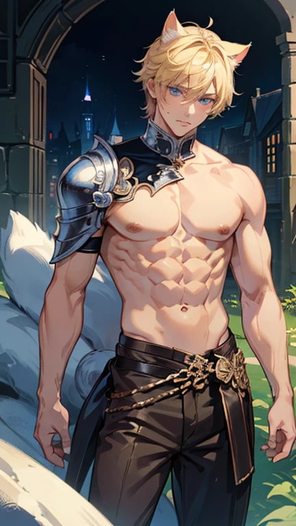 1man, (male), (medieval rogue:1.6), rouge, (armor plates on torso:1.2), no armor on hands, medieval clothes, (full body:1.5), ((glowy blue eyes)), ((dark blonde hair)), (best anatomy hands, accurate eye, best anatomy eye, correct face), character design, (UHD, 8K, award winning, high quality, masterpiece, ccurate), (((cinematic light))), ((medieval theme)), ((do not go beyond the edges of the image:1.8)), (((detailed background))), (((rating:safe)))