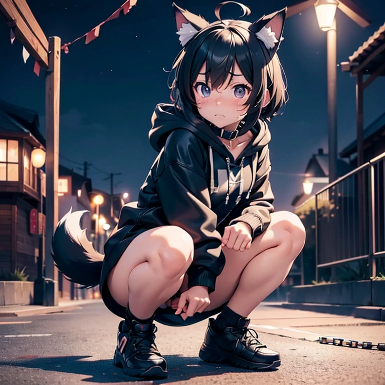 Night Park, Dog ears dog tail , Young appearance,  Anime Beautiful Girl, completely naked hoodie with front opening, rough rope SM binding ,  leather collar with chain lead, Leg spread, enema, enema薬, Fecal excretion ,  Excretion Play , A look of shame, Teary-eyed,  full body visible composition 