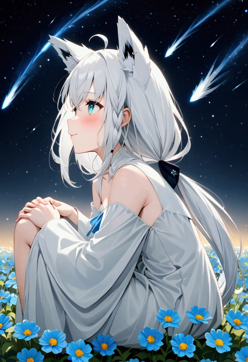  High image quality 、masterpiece、   high quality、Full HD、4K、画面の半分以上をNight Sky、 one girl sitting on the ground 、View from the side、Place your hands on your knees、 Shirakami Fubuki、 long gray hair 、 blue eyes、Fox Ears、 white dress、 flat chest、Blushing cheeks 、 looking up at the sky 、Blue Flower Field、Draw 、Night Sky、 shooting stars