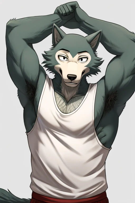 Male, wolf, legoshi, beastars, smile expression, masculine, raised arm, showing armpit, hairy armpit, Japanese, white sleeveless shirt, clsssroom