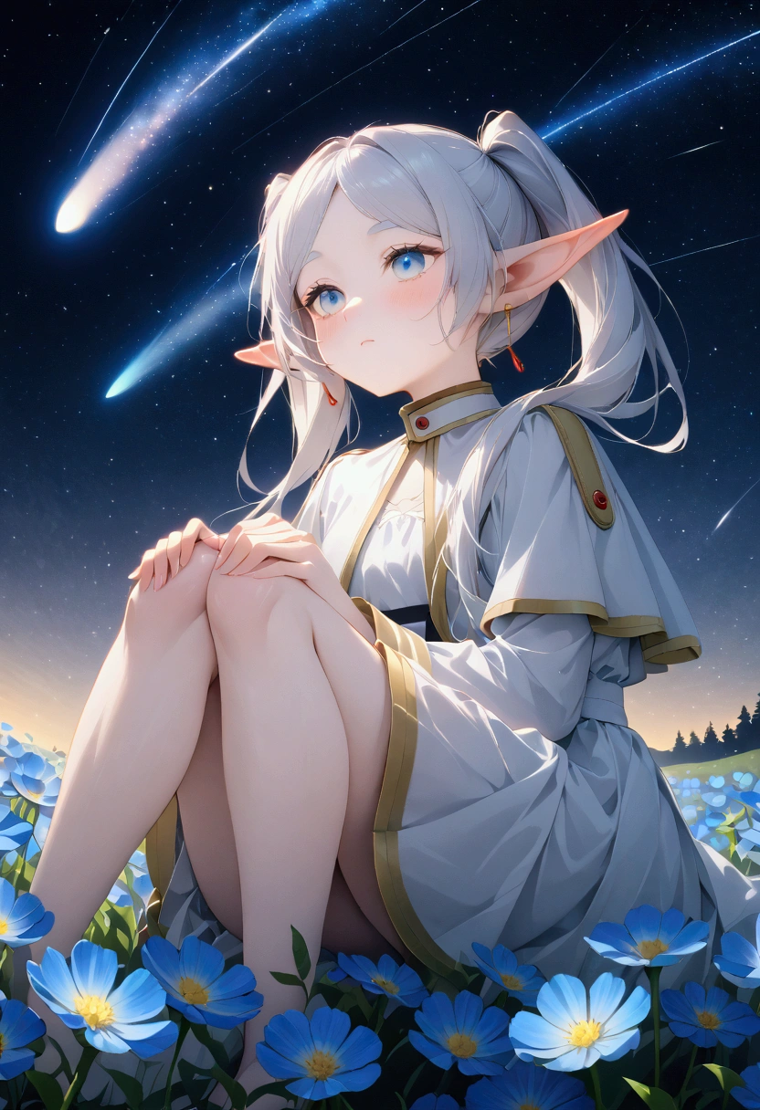  High image quality 、masterpiece、   high quality、Full HD、4K、画面の半分以上をNight Sky、 one girl sitting on the ground 、 view from below、Place your hands on your knees、 Funeral Freelen、 Silver Hair、 twin tails、 blue eyes、Elf Ears、 white dress、 flat chest、Blushing cheeks 、 looking up at the sky 、Blue Flower Field、Draw 、Night Sky、 shooting stars